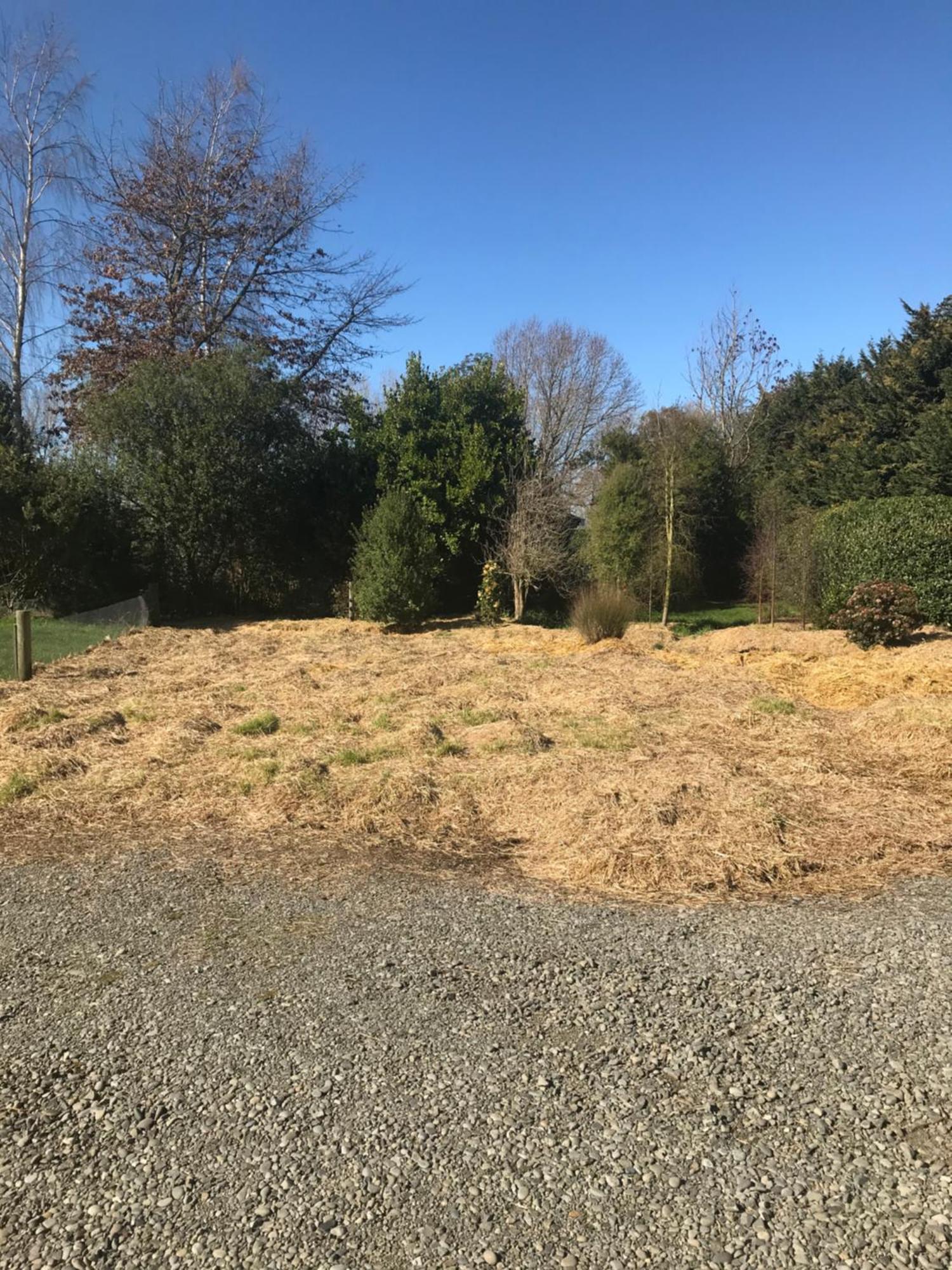 Brookside Country Escape 40 Minutes To Chc Airport Hotel Leeston Exterior foto