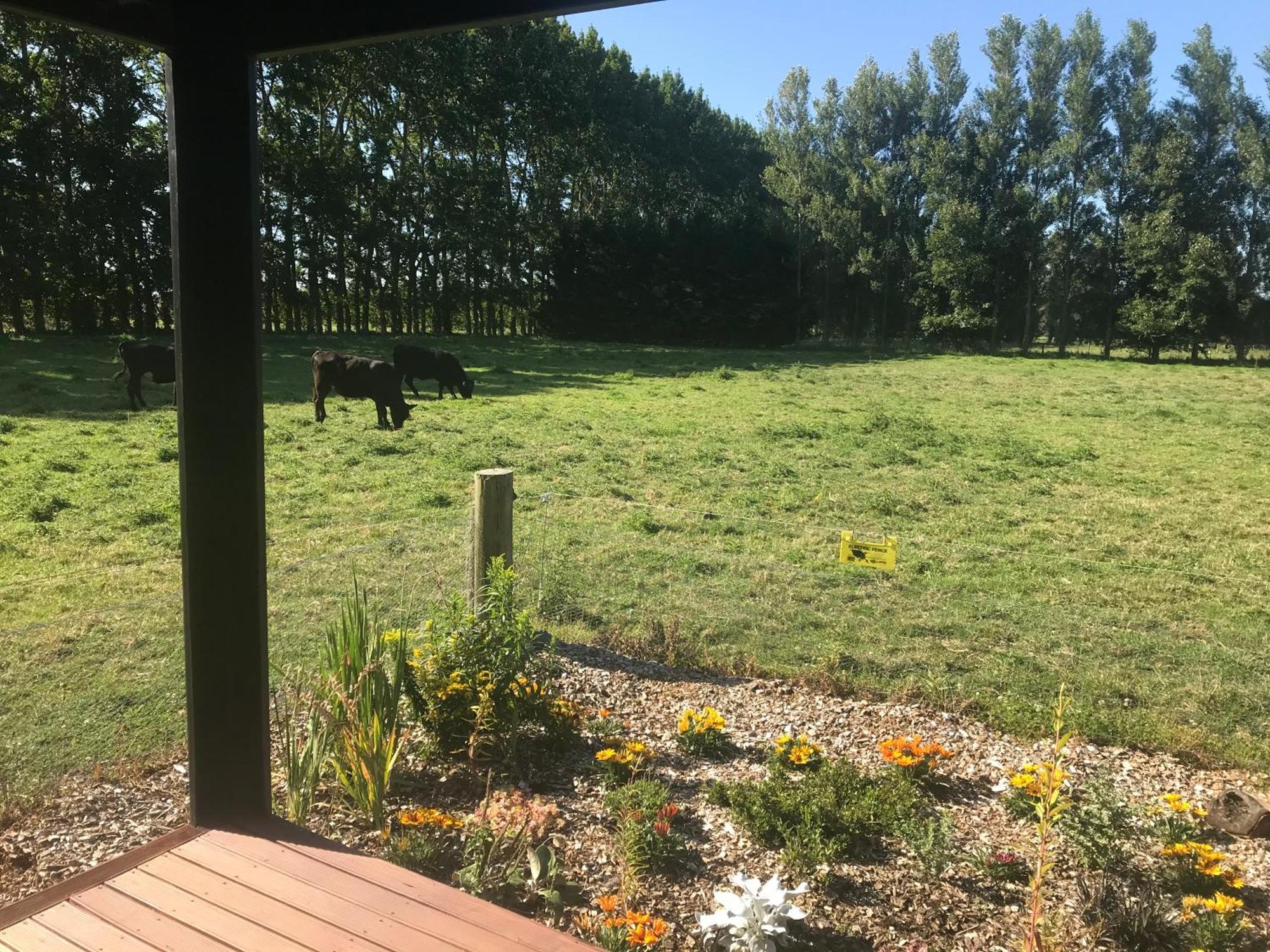 Brookside Country Escape 40 Minutes To Chc Airport Hotel Leeston Exterior foto